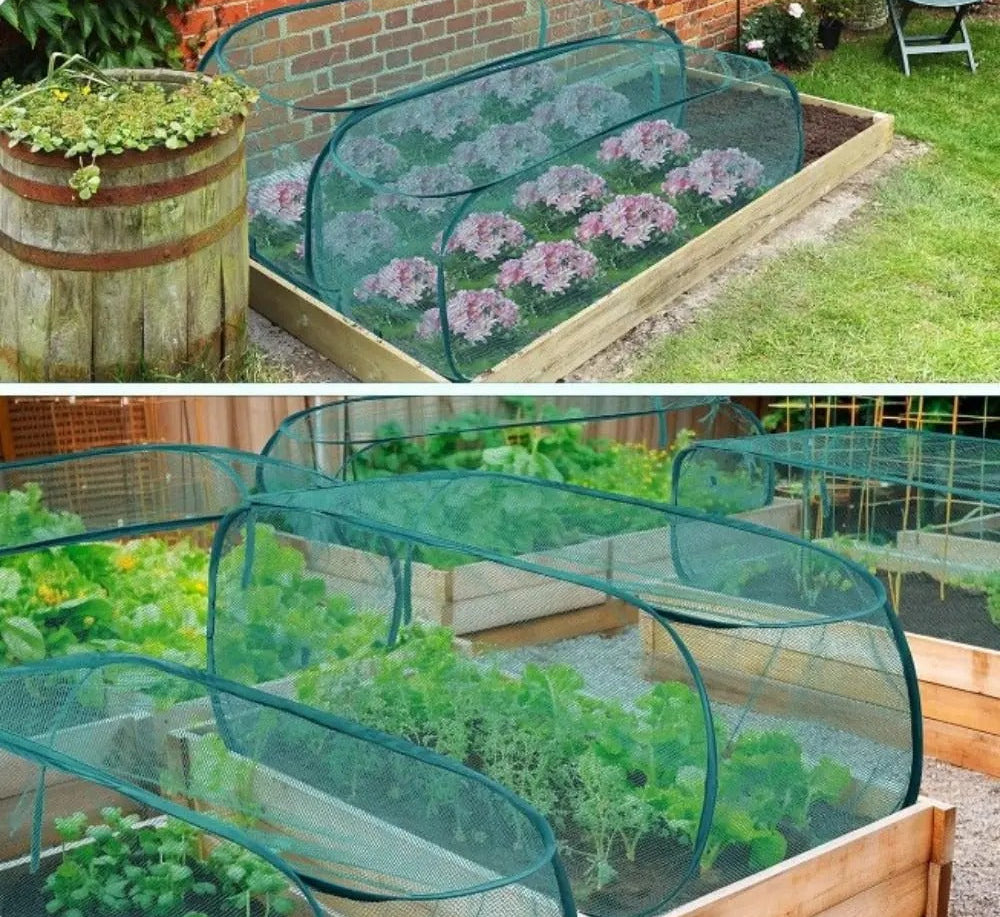 petite serre de jardin reparti dans le jardin qui protège fleurs et plantes