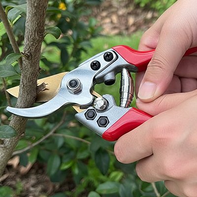 Secateur coupant branche vus de prĂšs