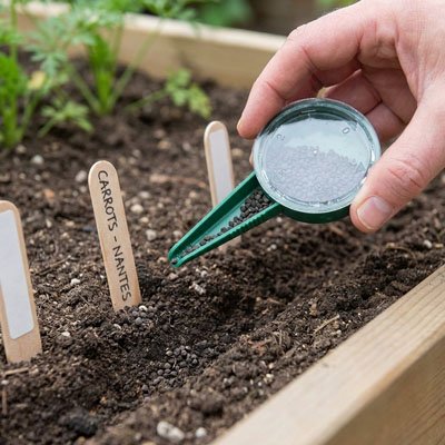 Semoir de précision vus  gros plan seme graines carottes dans carré jardin