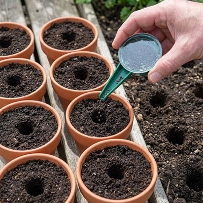 Semoir de précision vus gros plan seme graines dans pot aligné