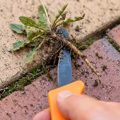 couteau desherbeur démontrant la mauvaise herbes et la racine arracher entre les dalles
