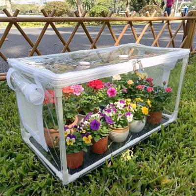 fleurs protégées dans petite serre de jardin