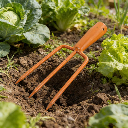 fourche jardinage déposé au sol sans le manche