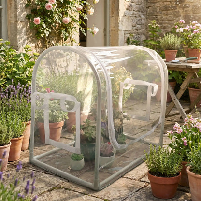 mini serre de jardin protège plantes dans arrière cour fleuri