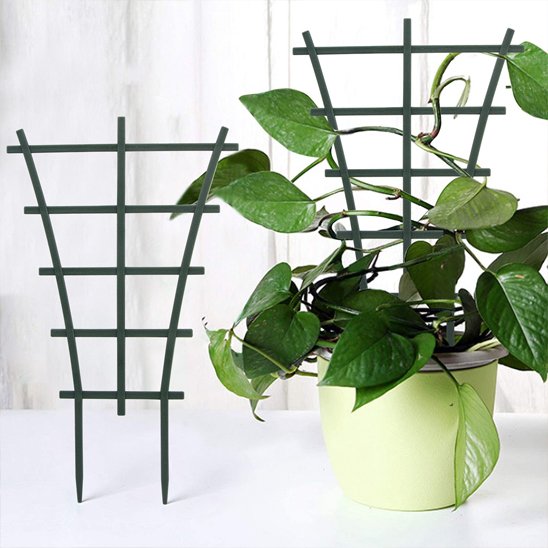 modèle de treillis pour plantes grimpante en démonstration
