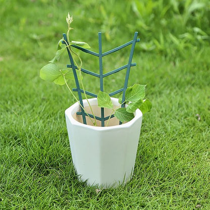 modèle de treillis pour plantes grimpante