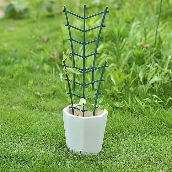modèle de treillis pour plantes grimpante