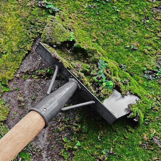 Pelle de jardinage désherbe