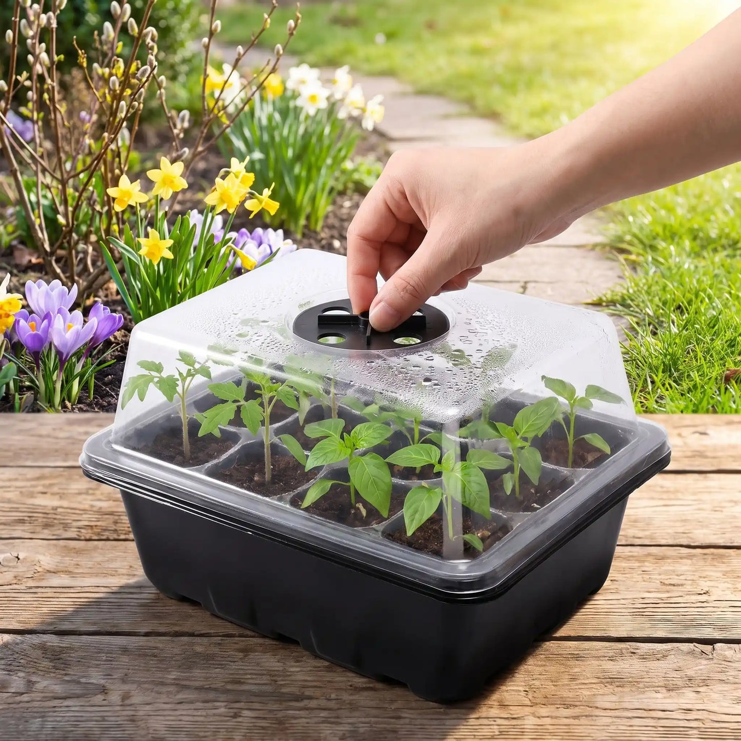 personne qui ajuste l'ouverture de la mini serre de jardin