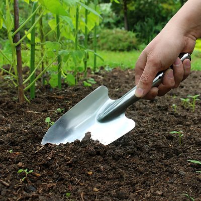 personne qui utilise la petite pelle de jardin pour creuser