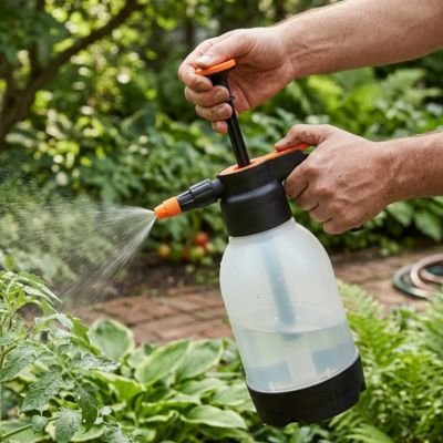 pulvérisateur pour jardin utilisé pour arroser des hosta et des fougères
