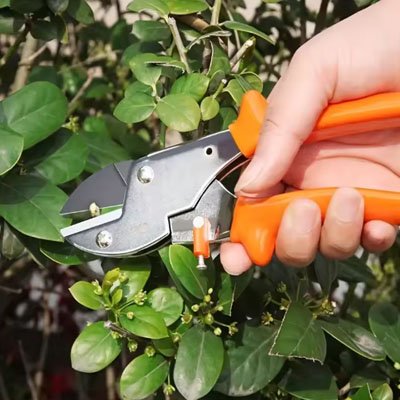 secateur au bec rond tenu par une main coupant branche