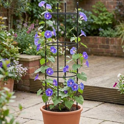 Treillis utilisé dans un pot de fleur mauve déposé dans un arrière cour