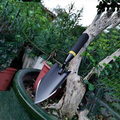 vu de près de la Pelle accoté sur tronc d'arbre