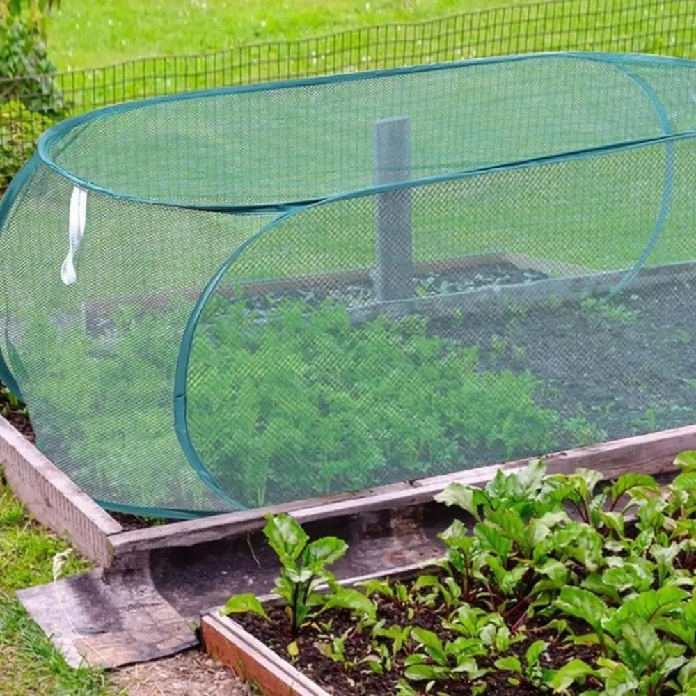 vue de près de la petite serre de jardin