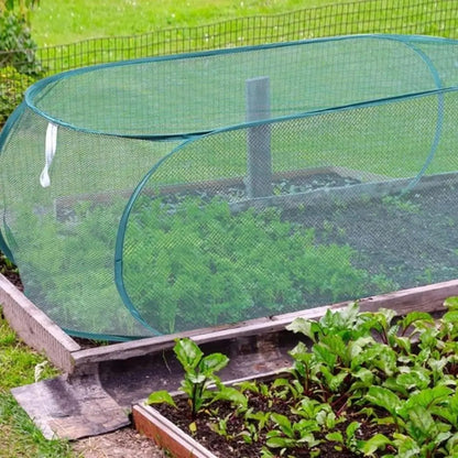 vue de près de la petite serre de jardin
